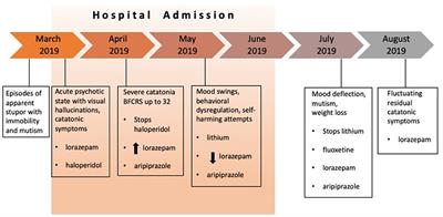 Diagnostic and Therapeutic Challenges of Catatonia in an Adolescent With High Functioning Autism Spectrum Disorder: A Case Report